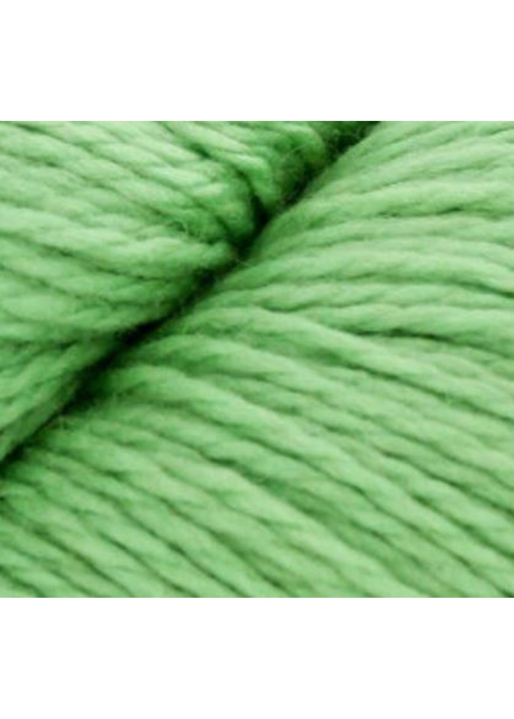 Cascade Cascade Eco Wool "Grass Green" 3111