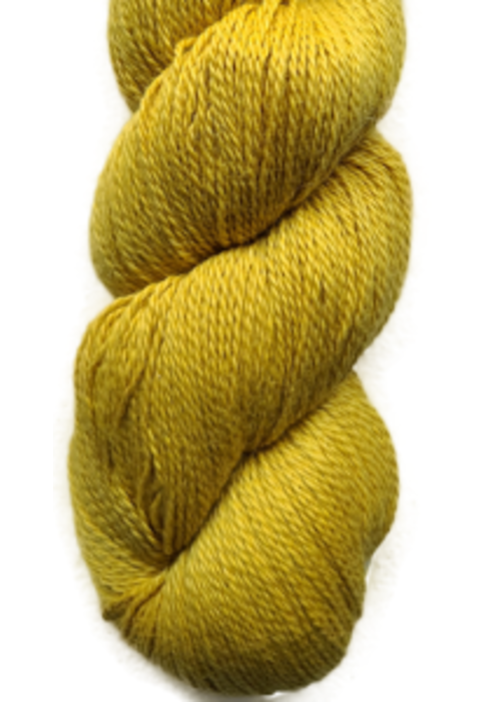 Illimani Sabri Mustard
