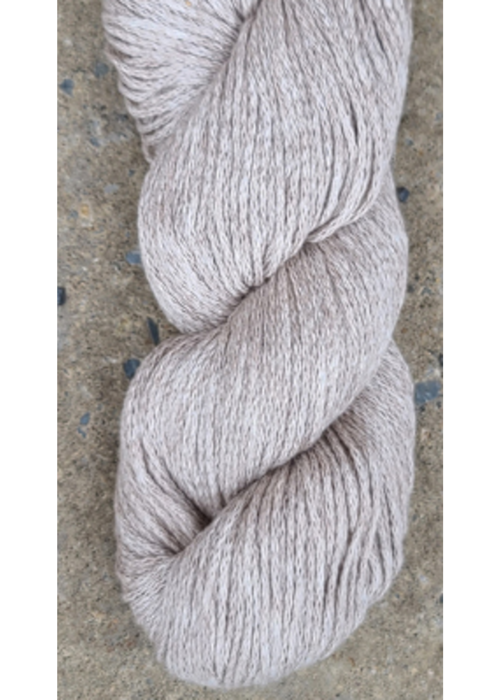 Illimani Sabri II - Fawn 84