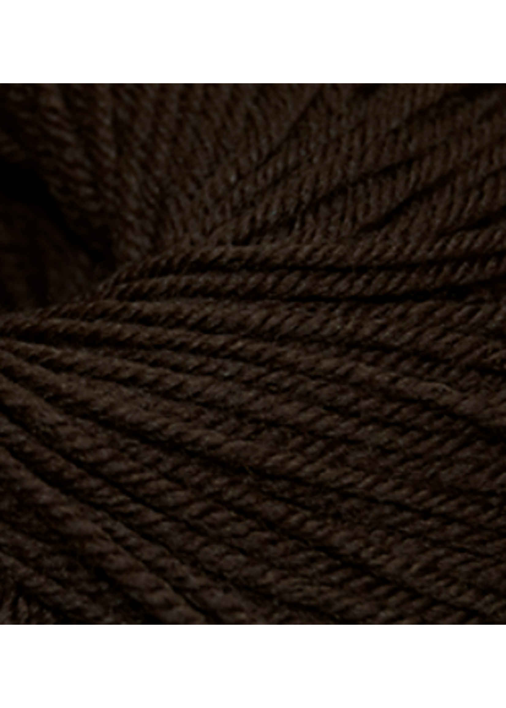 Cascade 220 Superwash Chocolate 819