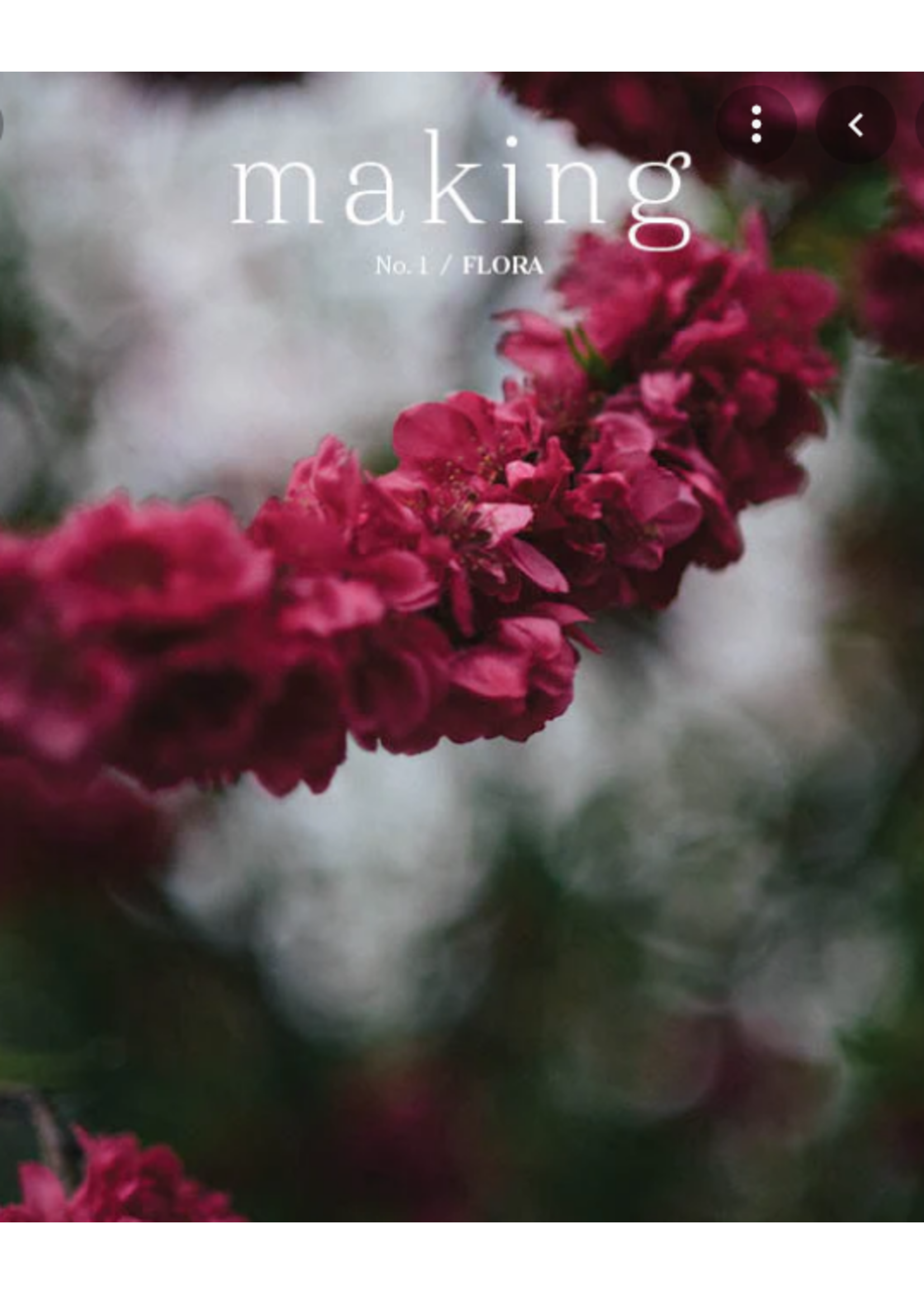 MAKING Making Volume 1 - Flora