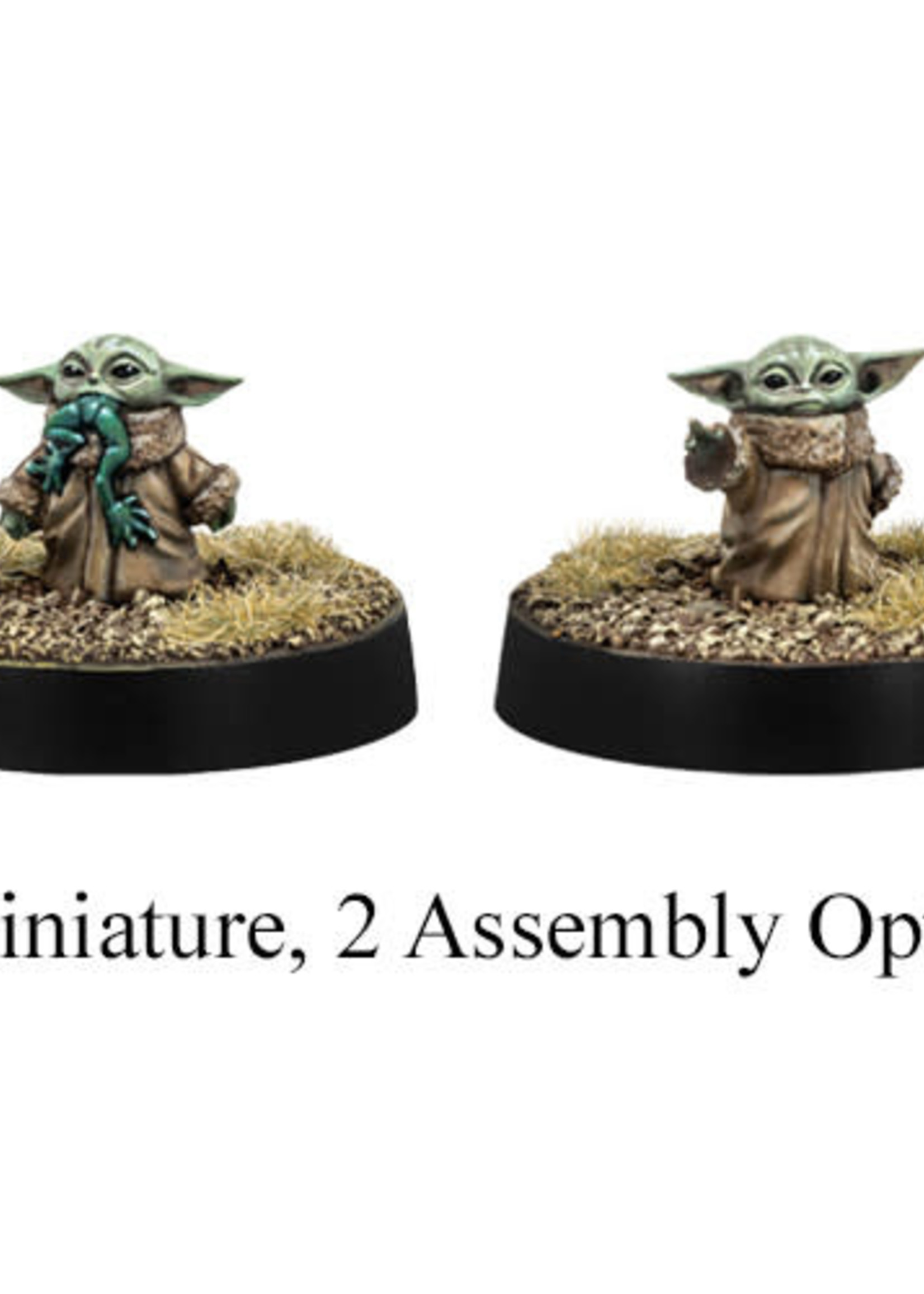Star Wars Legion—Din Djarin & Grogu The Guilded Grayland Star Wars Legion—Din Djarin & Grogu The Guilded Grayland