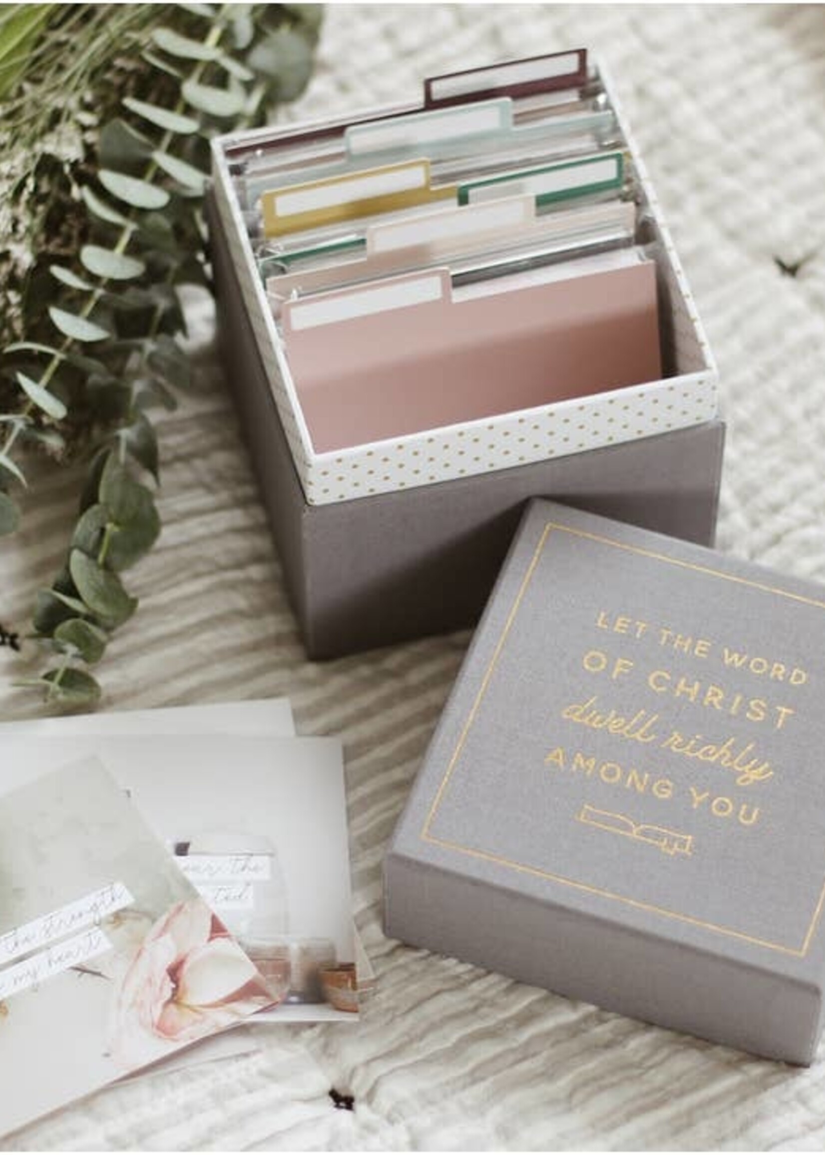 DAILY GRACE CO DWELL VERSE CARD BOX