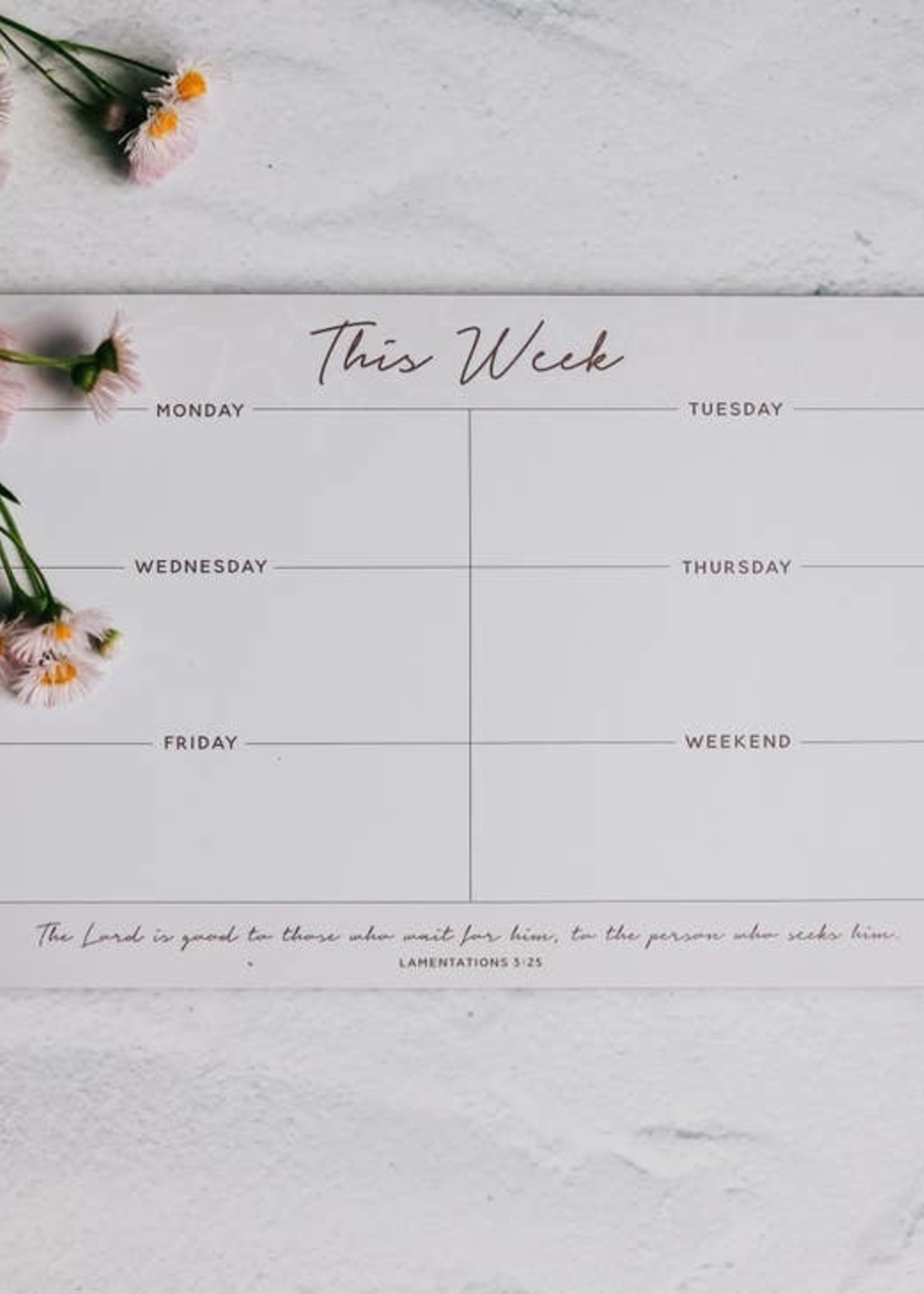 DAILY GRACE CO WEEKLY OVERVIEW NOTEPAD- BLUSH FLORAL