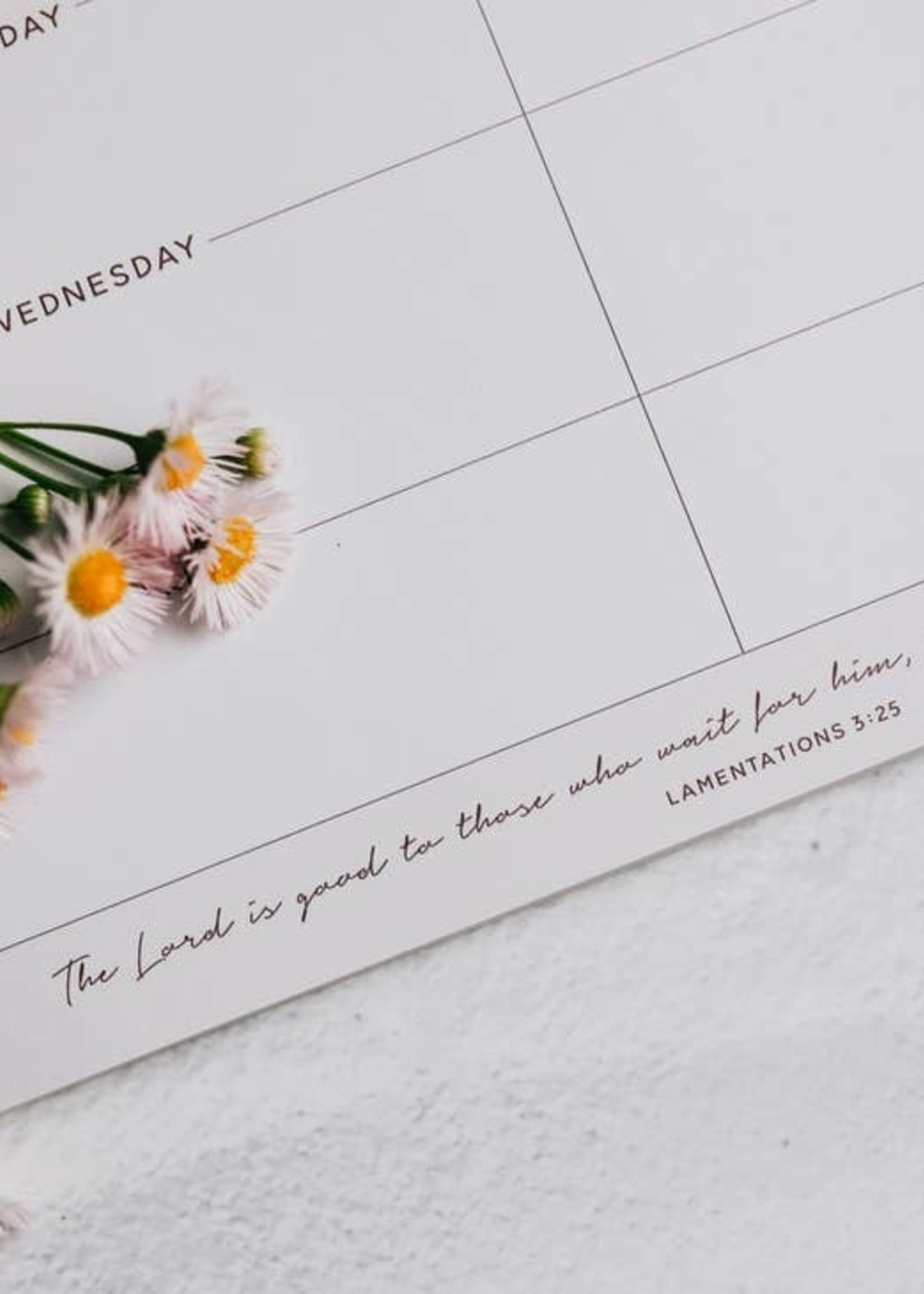 DAILY GRACE CO WEEKLY OVERVIEW NOTEPAD- BLUSH FLORAL