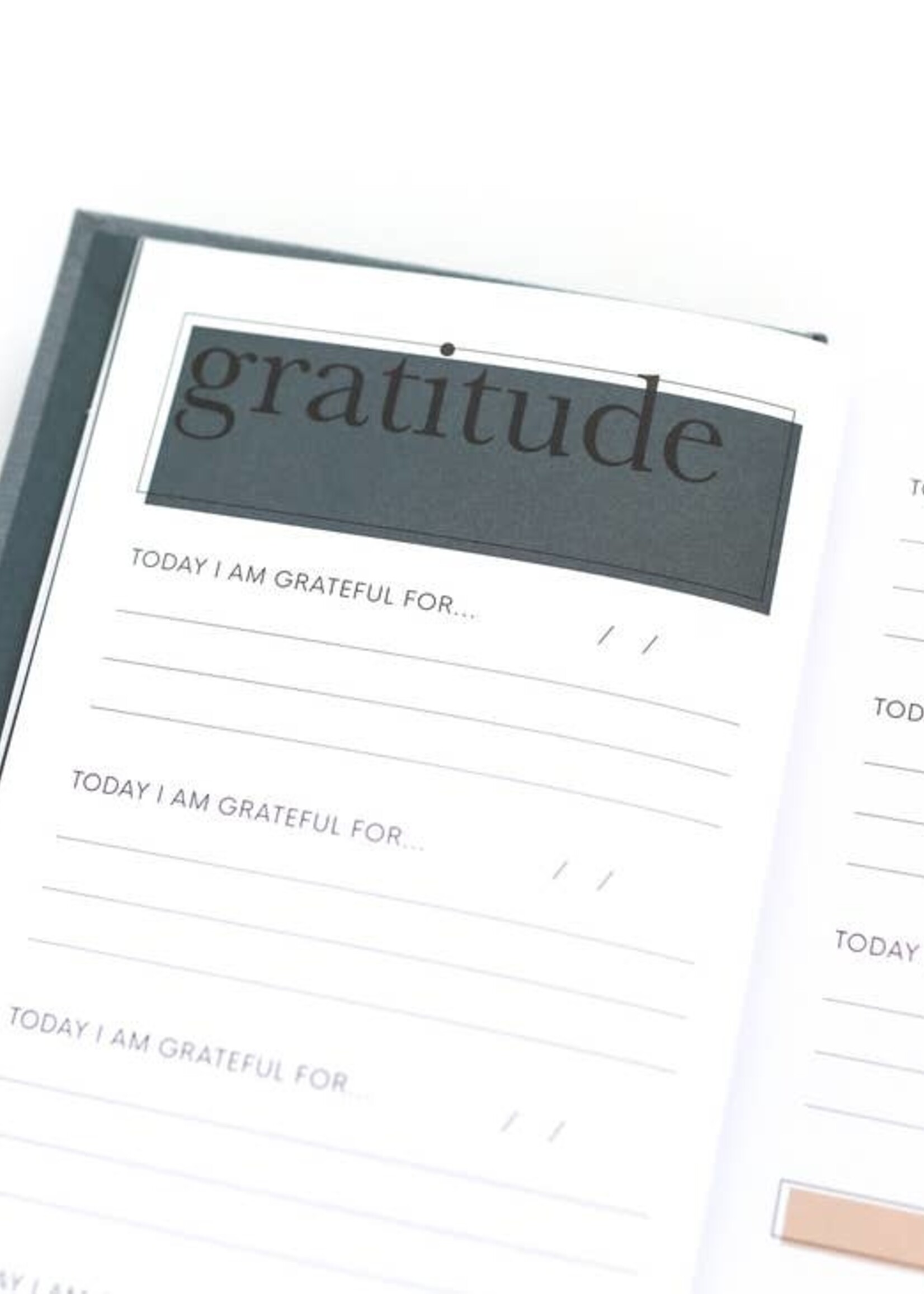 paper peony press THE GRATITUDE JOURNAL FOR WOMEN