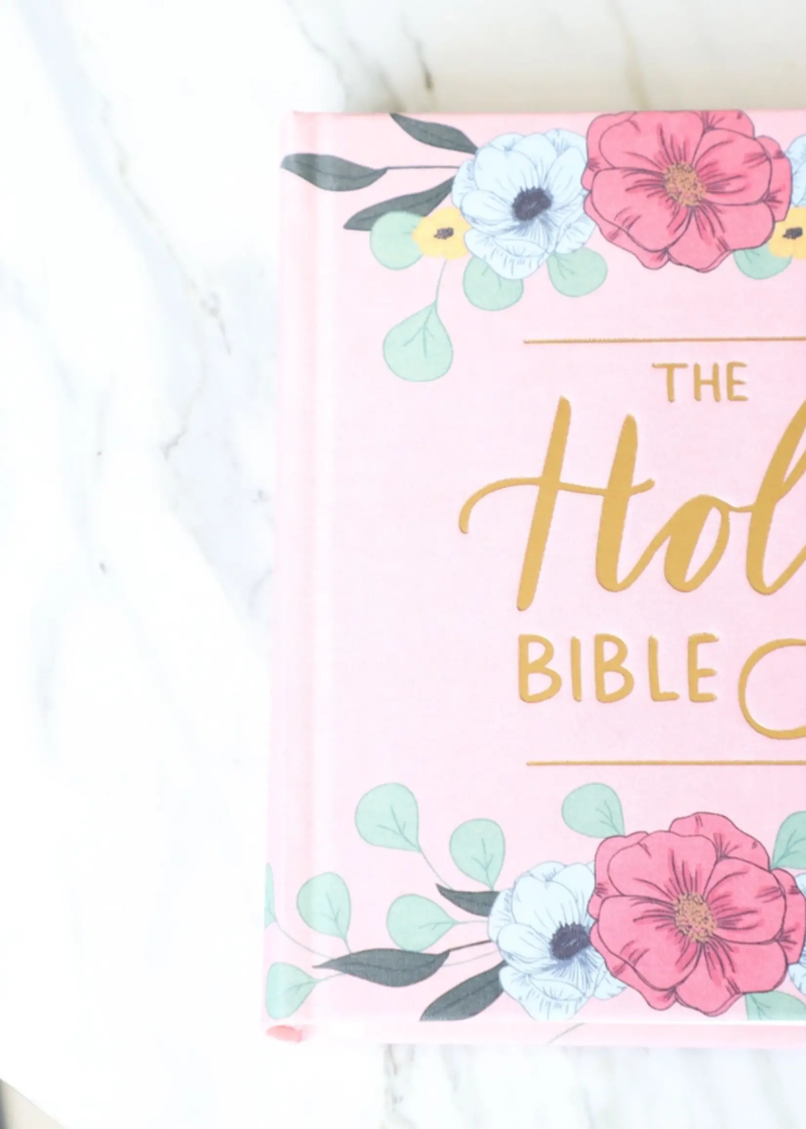 WHEAT & HONEY CO BLUSH JOURNALING BIBLE