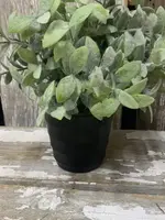 WHOLESALE HOME DECOR THYME POT