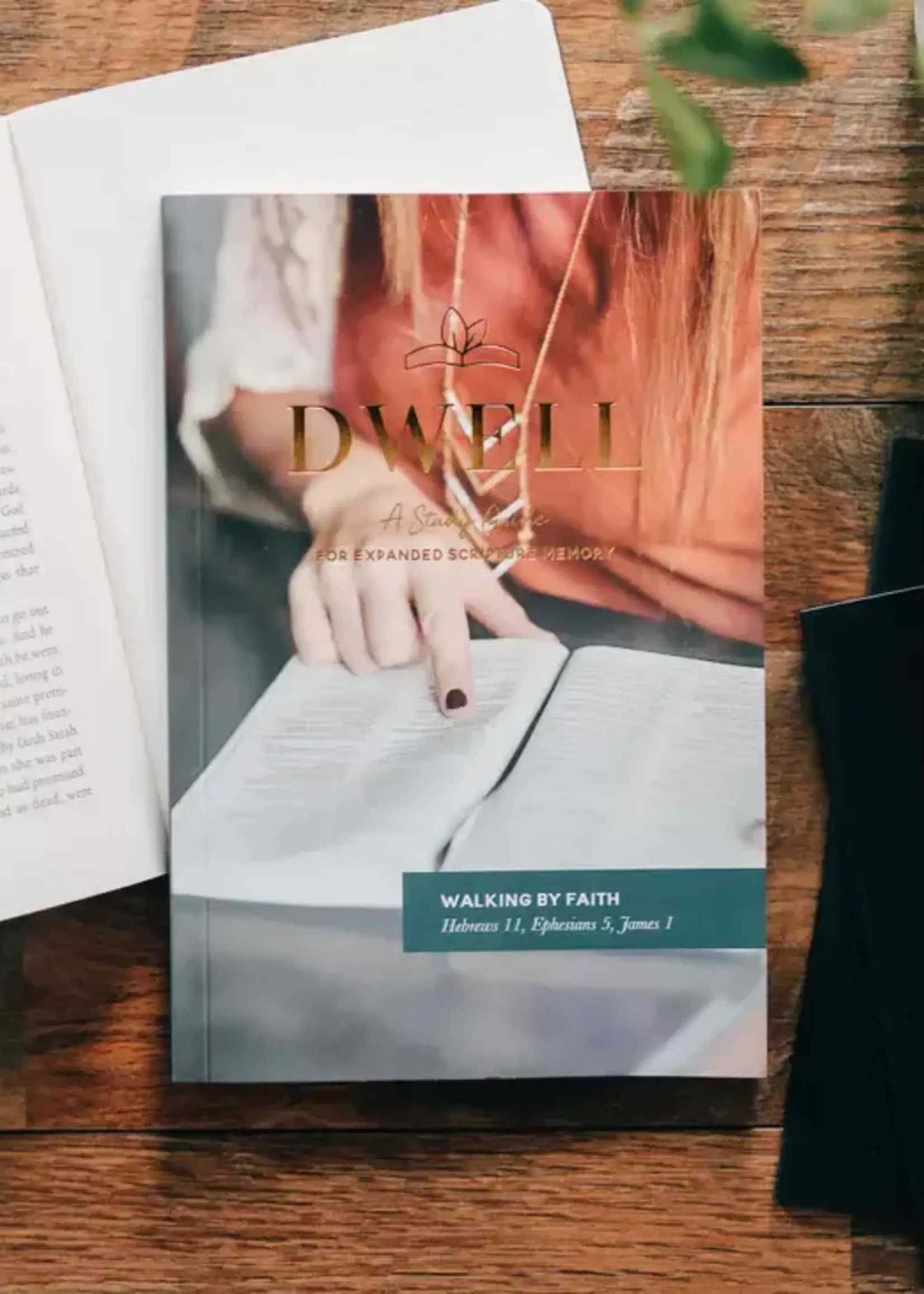 DAILY GRACE CO DWELL SCRIPTURE MEMORY JOURNAL WALKING BY FAITH