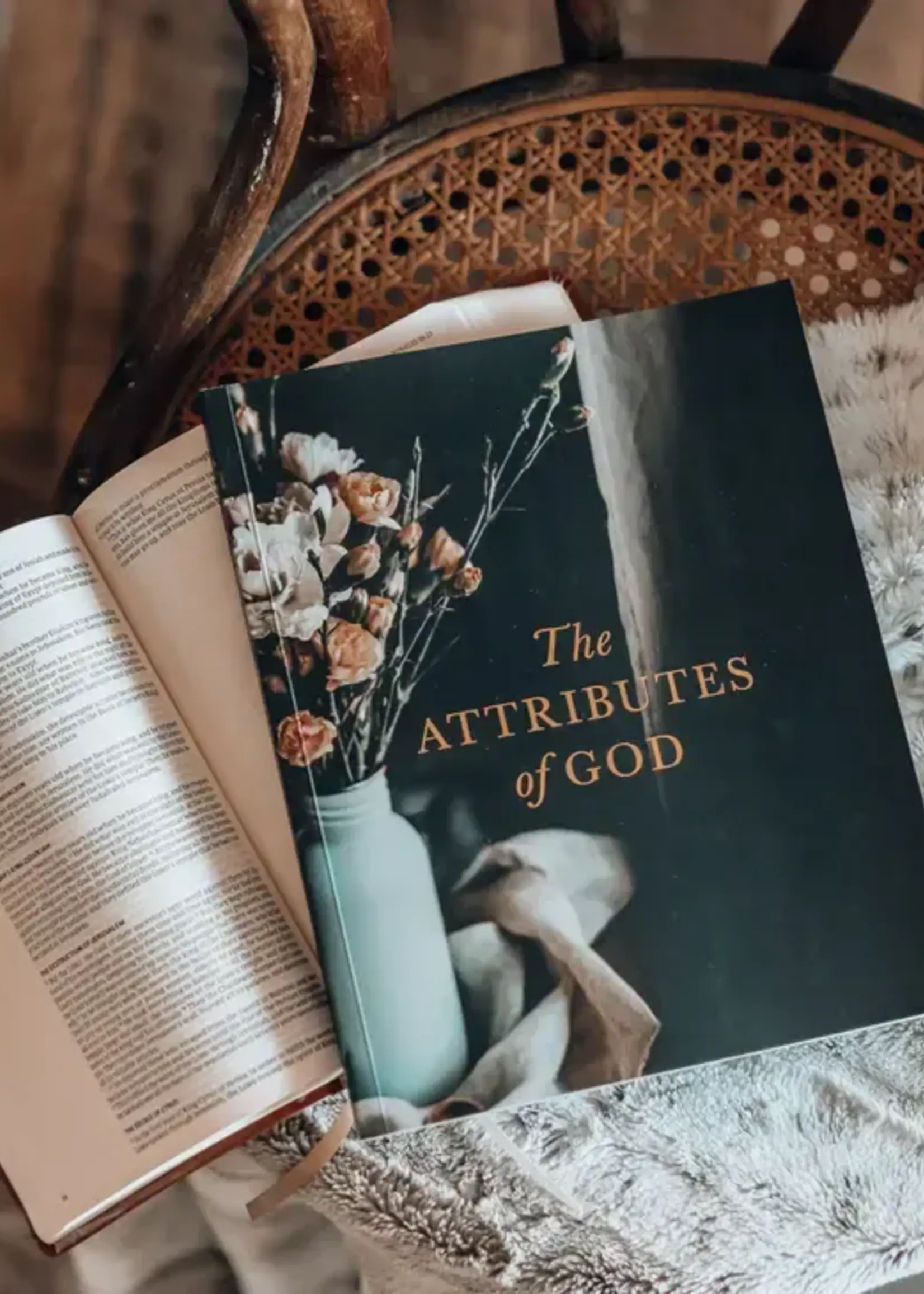 DAILY GRACE CO THE ATTRIBUTES OF GOD STUDY FOR WOMEN