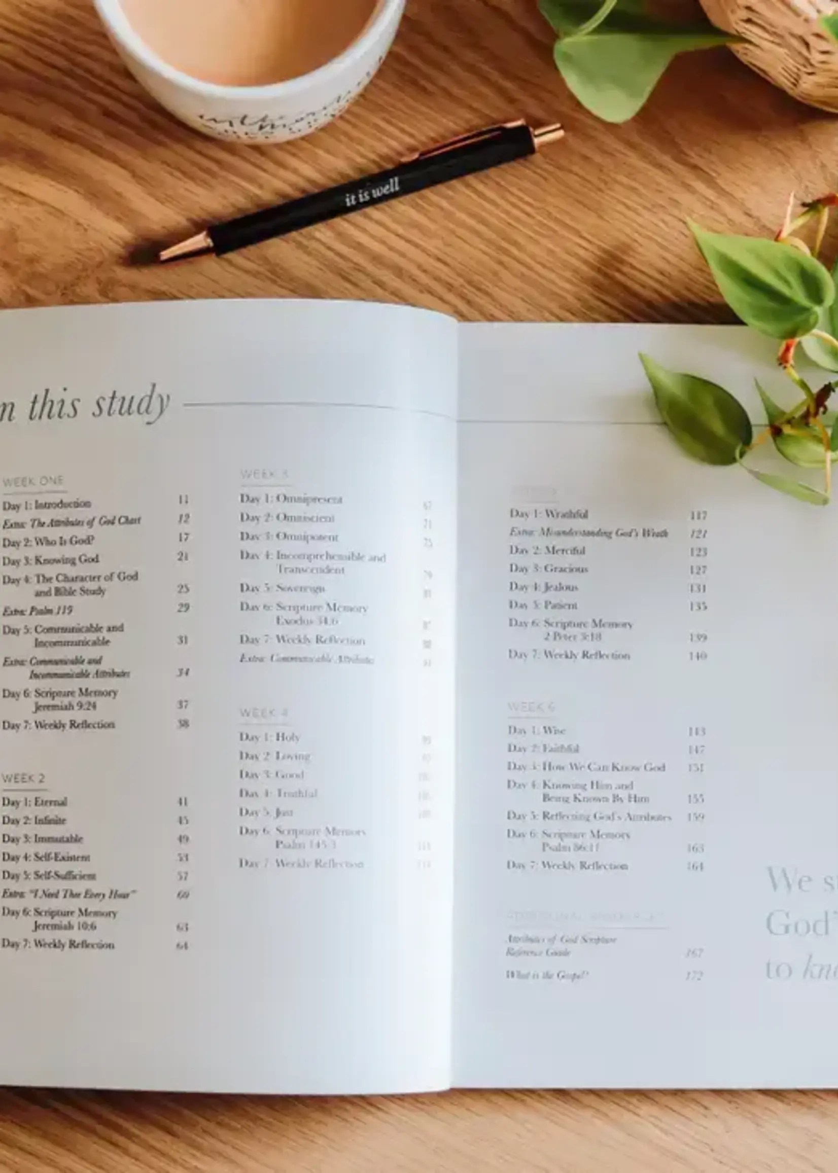 DAILY GRACE CO THE ATTRIBUTES OF GOD STUDY FOR WOMEN