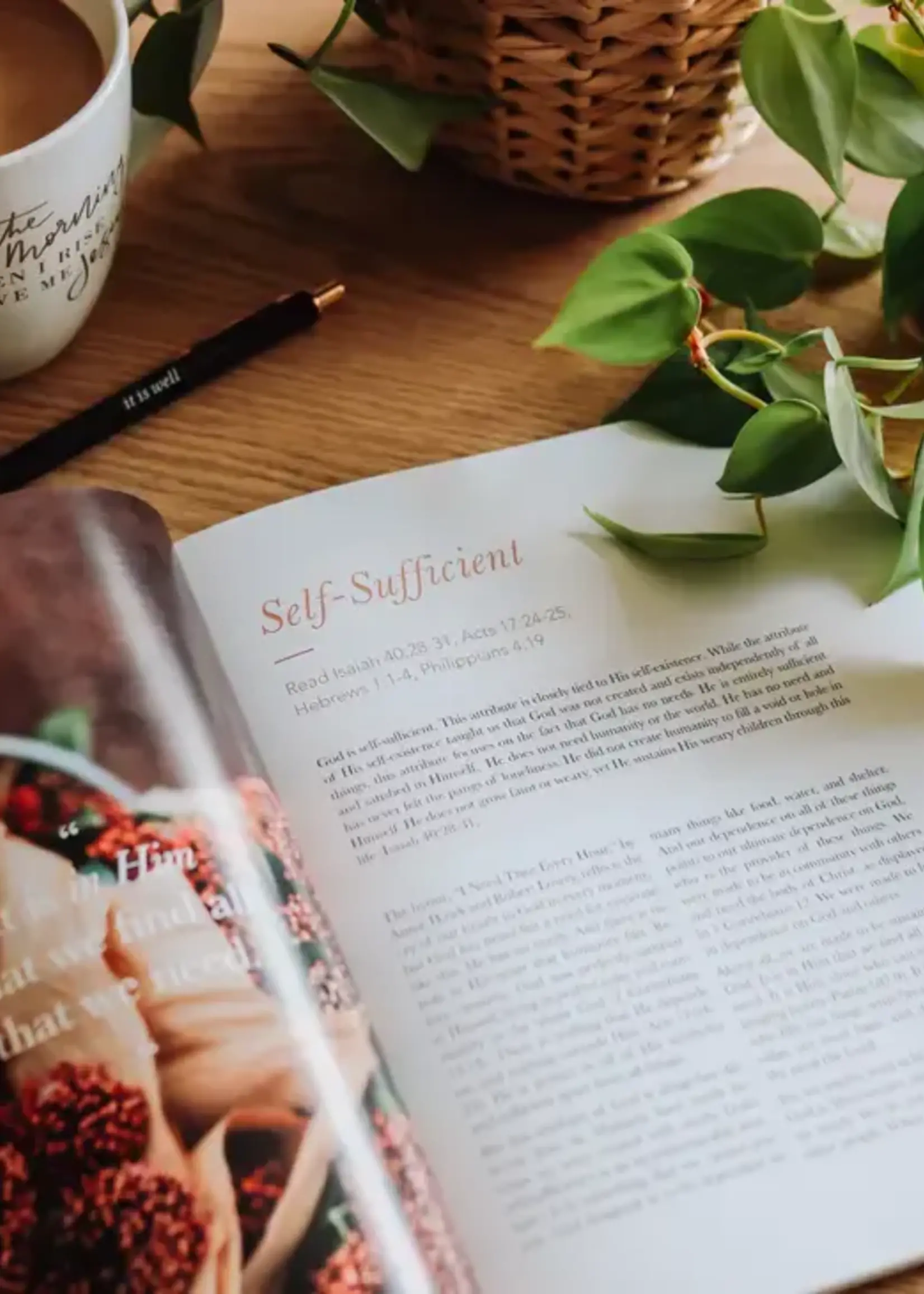 DAILY GRACE CO THE ATTRIBUTES OF GOD STUDY FOR WOMEN