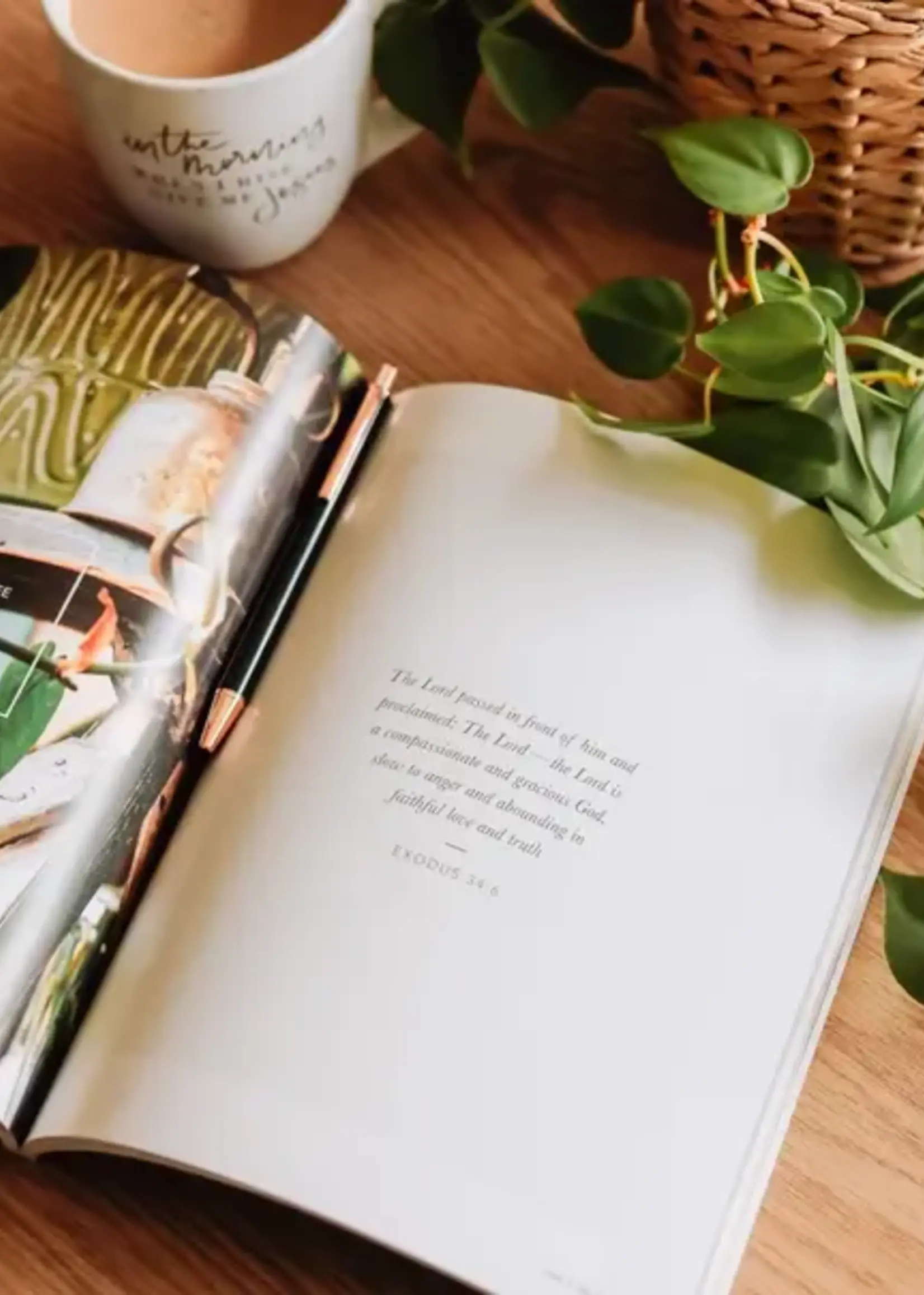 DAILY GRACE CO THE ATTRIBUTES OF GOD STUDY FOR WOMEN