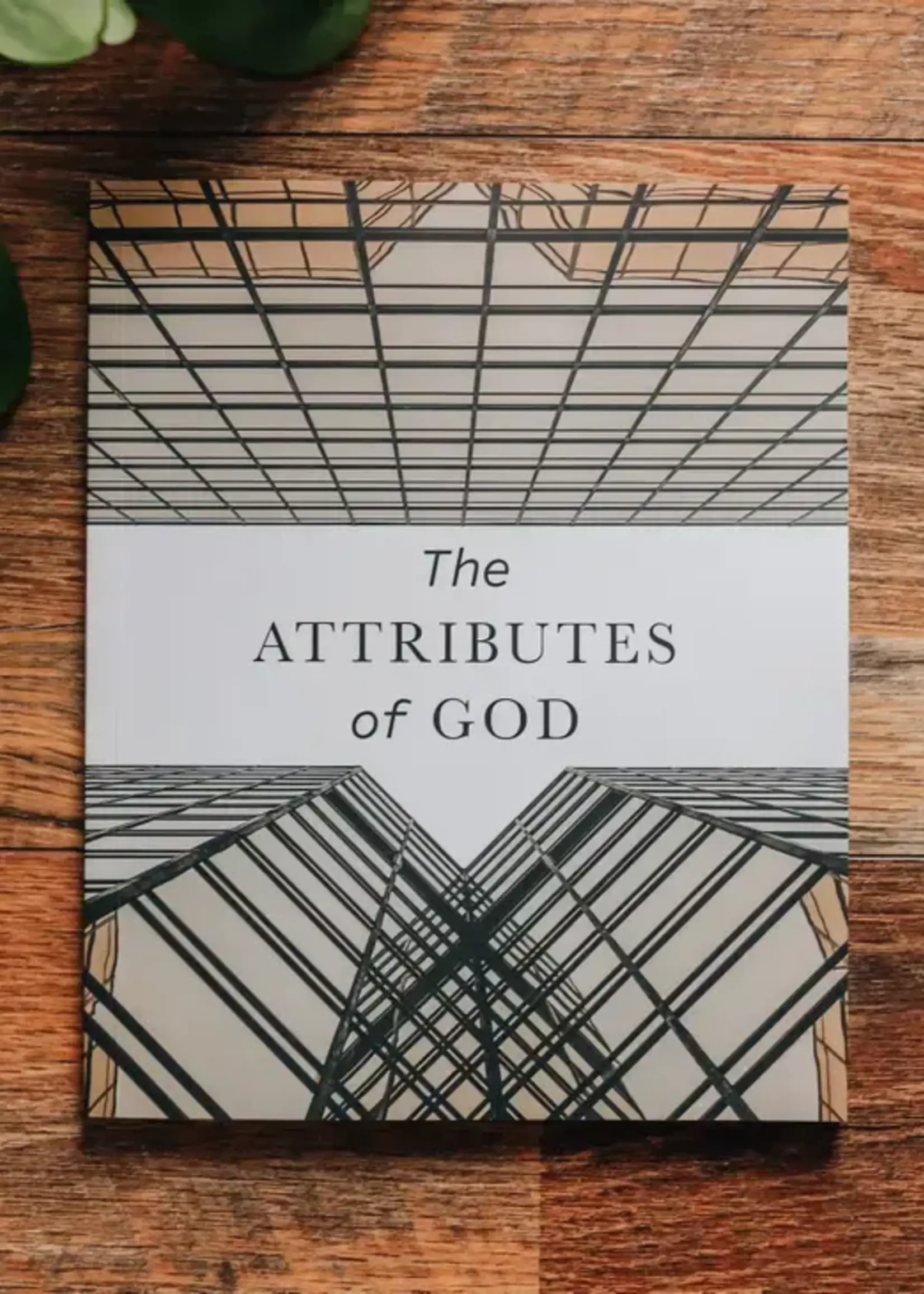 DAILY GRACE CO THE ATTRIBUTES OF GOD STUDY FOR MEN