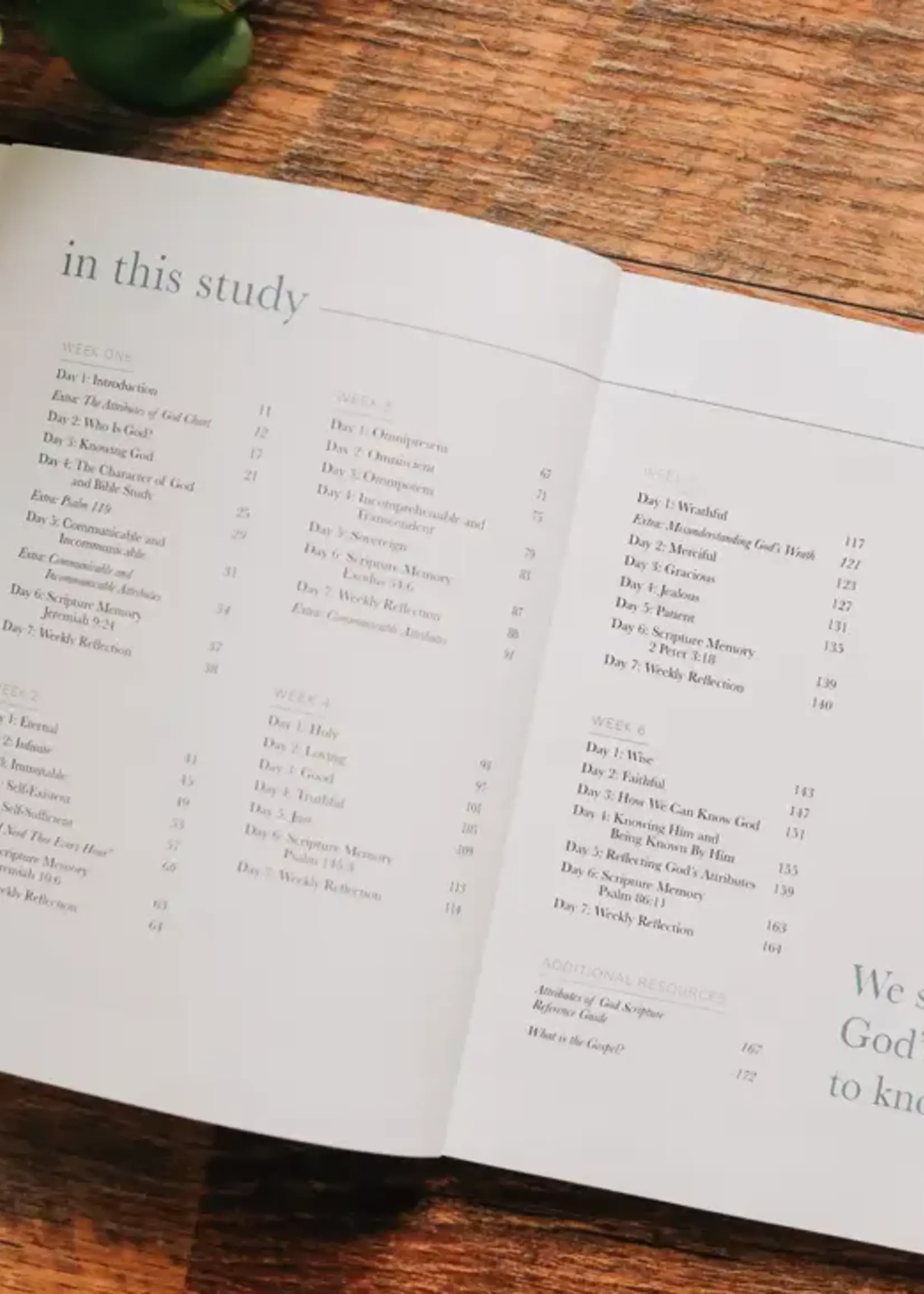DAILY GRACE CO THE ATTRIBUTES OF GOD STUDY FOR MEN