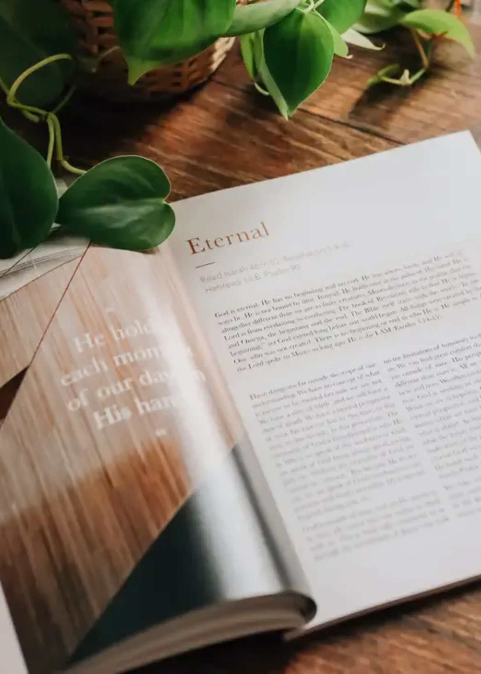 DAILY GRACE CO THE ATTRIBUTES OF GOD STUDY FOR MEN
