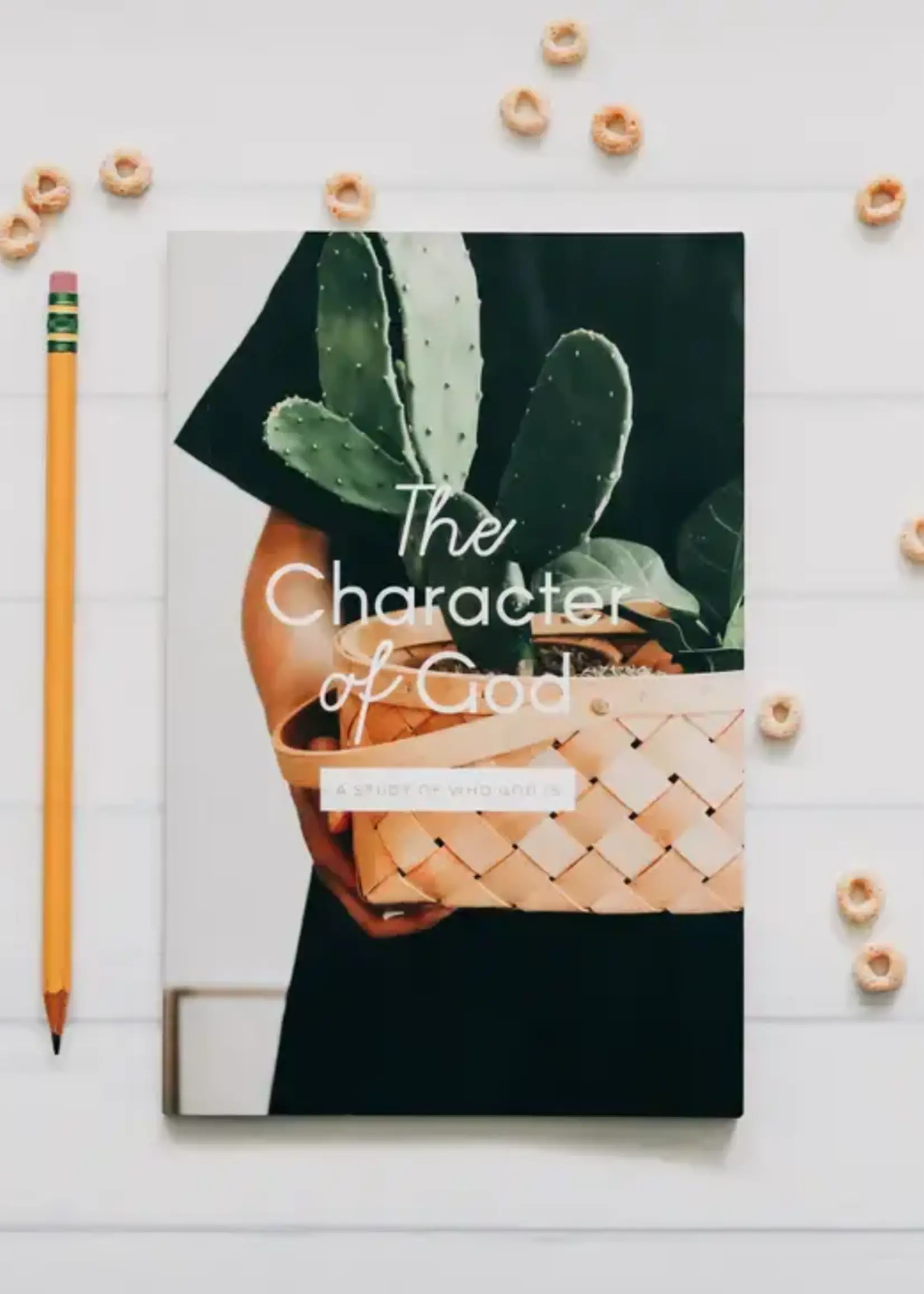 DAILY GRACE CO THE CHARACTER OF GOD KIDS & FAMILY STUDY