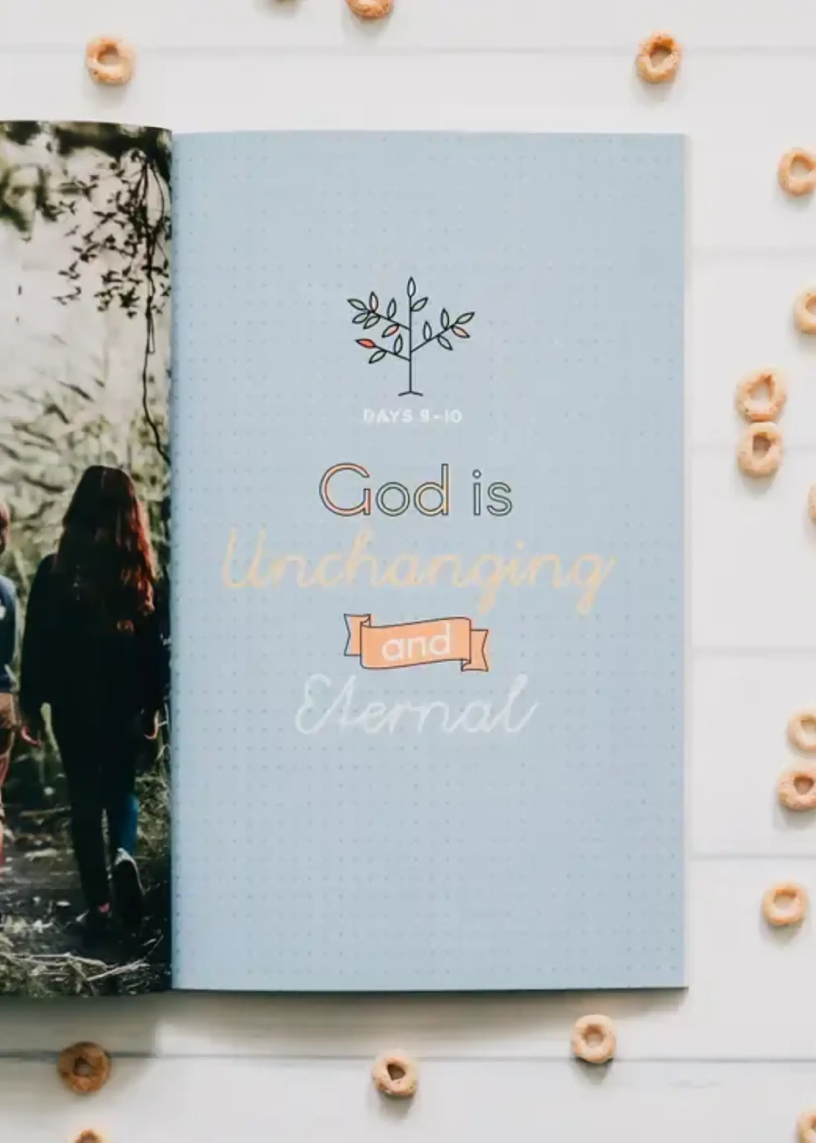 DAILY GRACE CO THE CHARACTER OF GOD KIDS & FAMILY STUDY