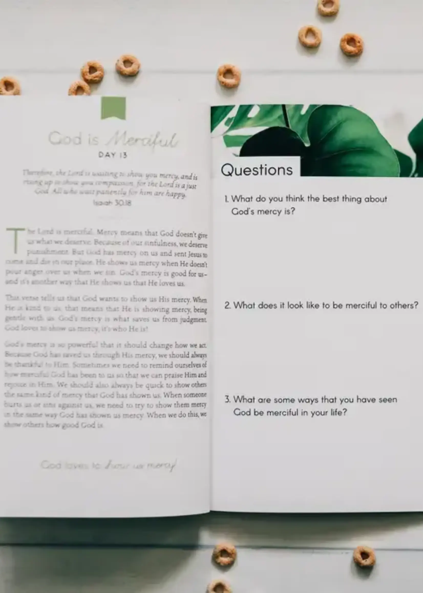 DAILY GRACE CO THE CHARACTER OF GOD KIDS & FAMILY STUDY