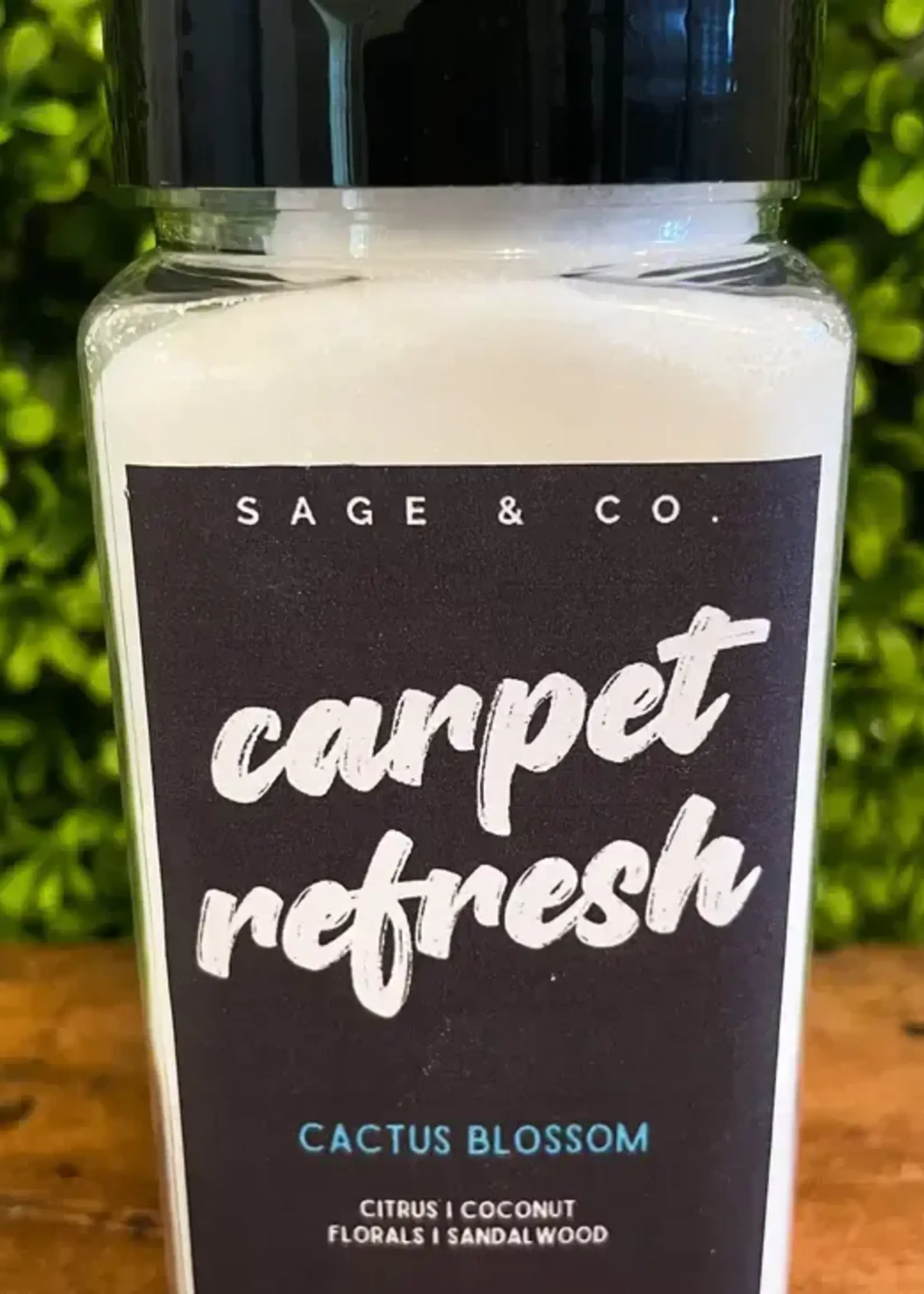 SAGE & CO CARPET REFRESH