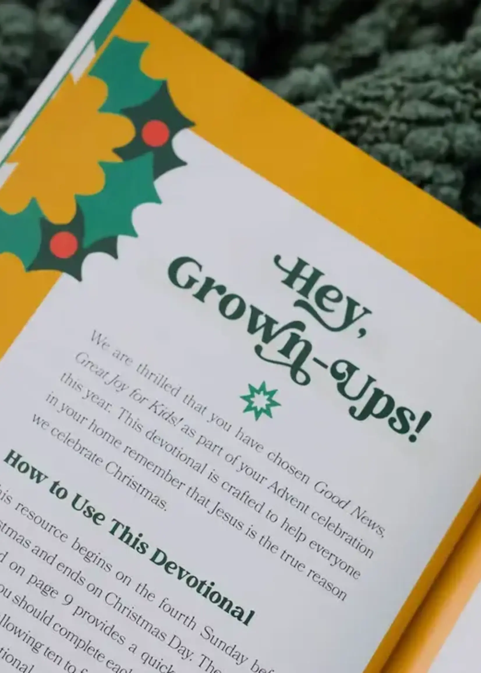 DAILY GRACE CO GOOD NEWS GREAT JOY FOR KIDS
