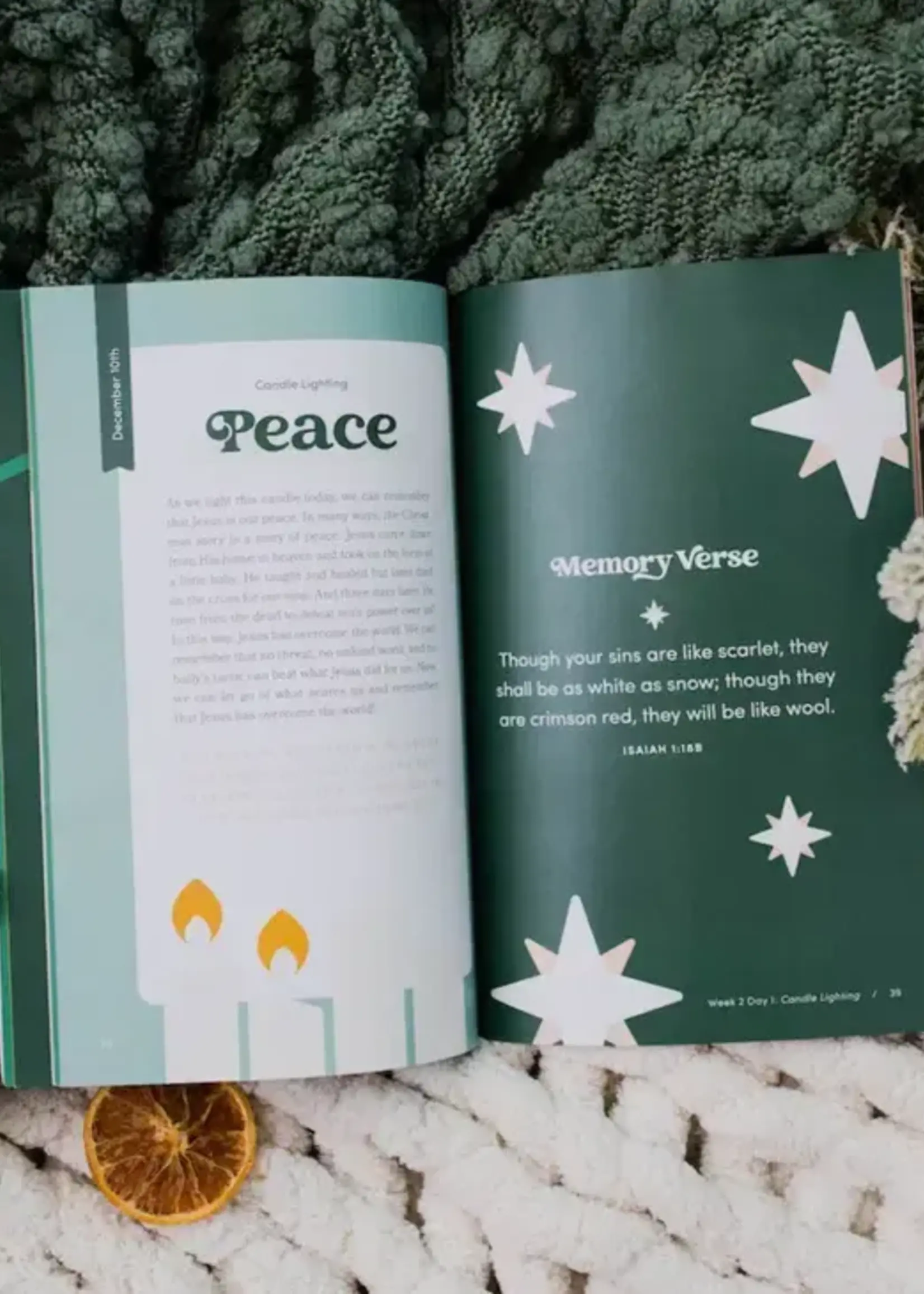 DAILY GRACE CO GOOD NEWS GREAT JOY FOR KIDS