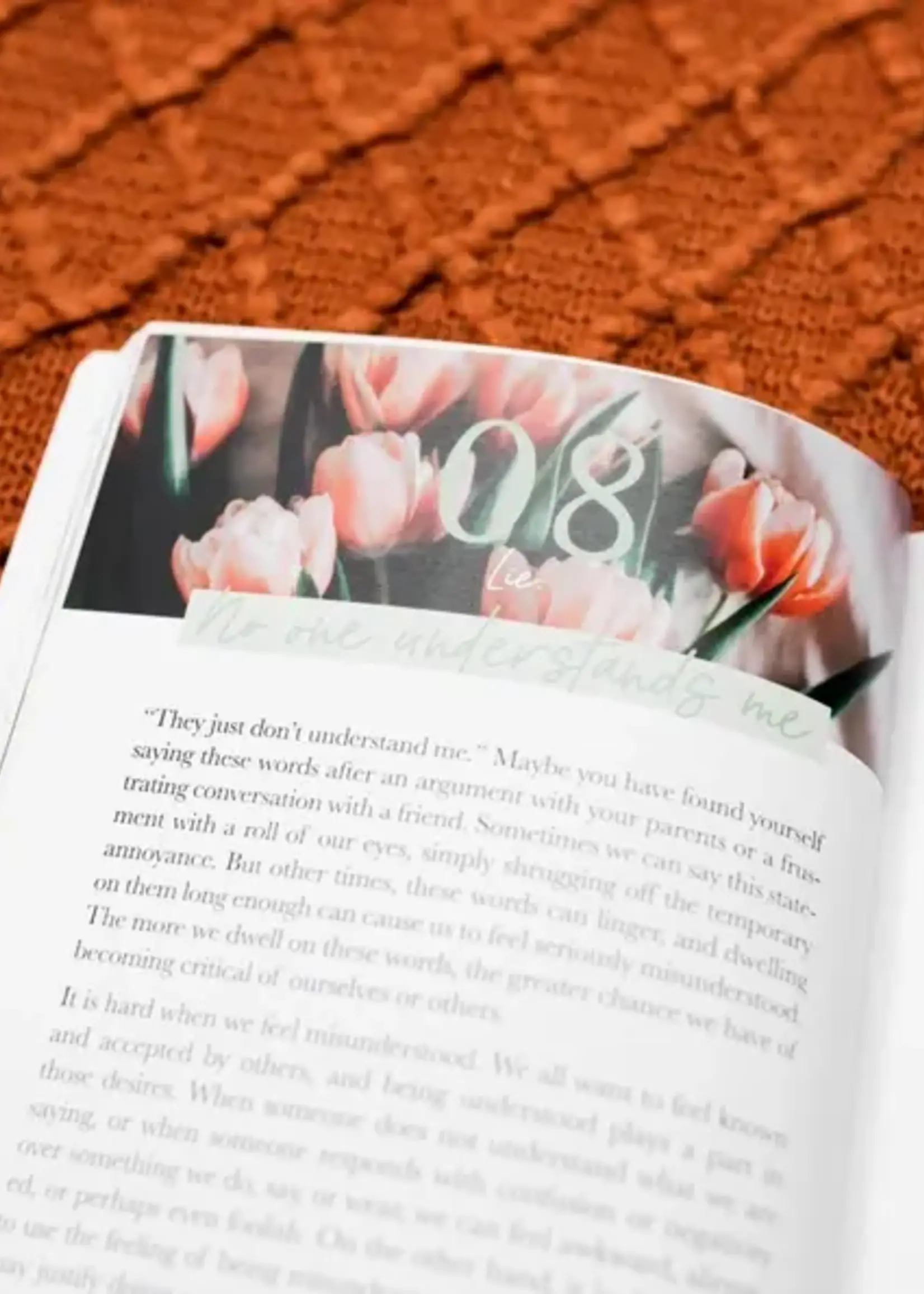 DAILY GRACE CO THIRTY TRUTHS FOR COMMON LIES FOR TEENS