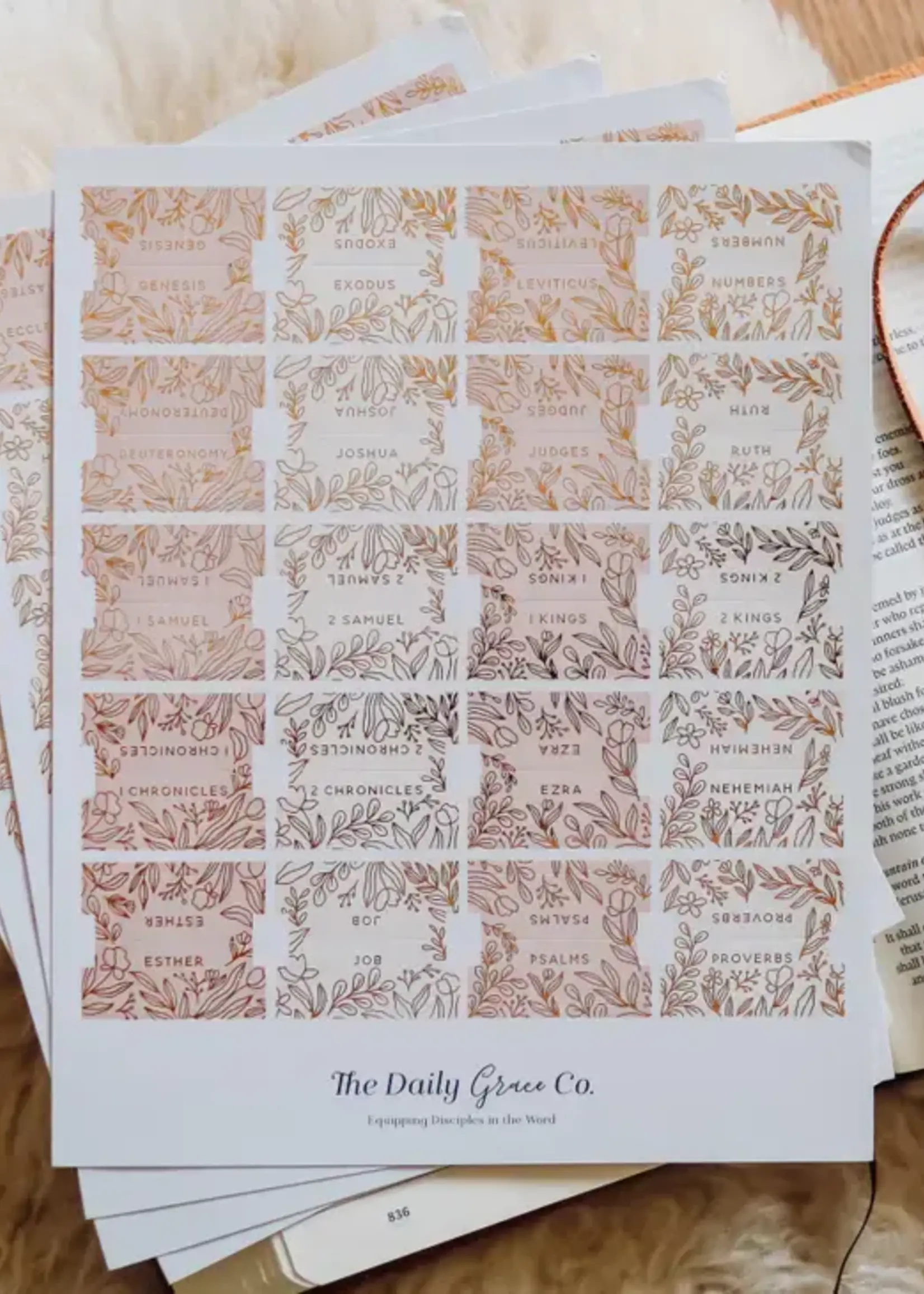 DAILY GRACE CO BIBLE TABS