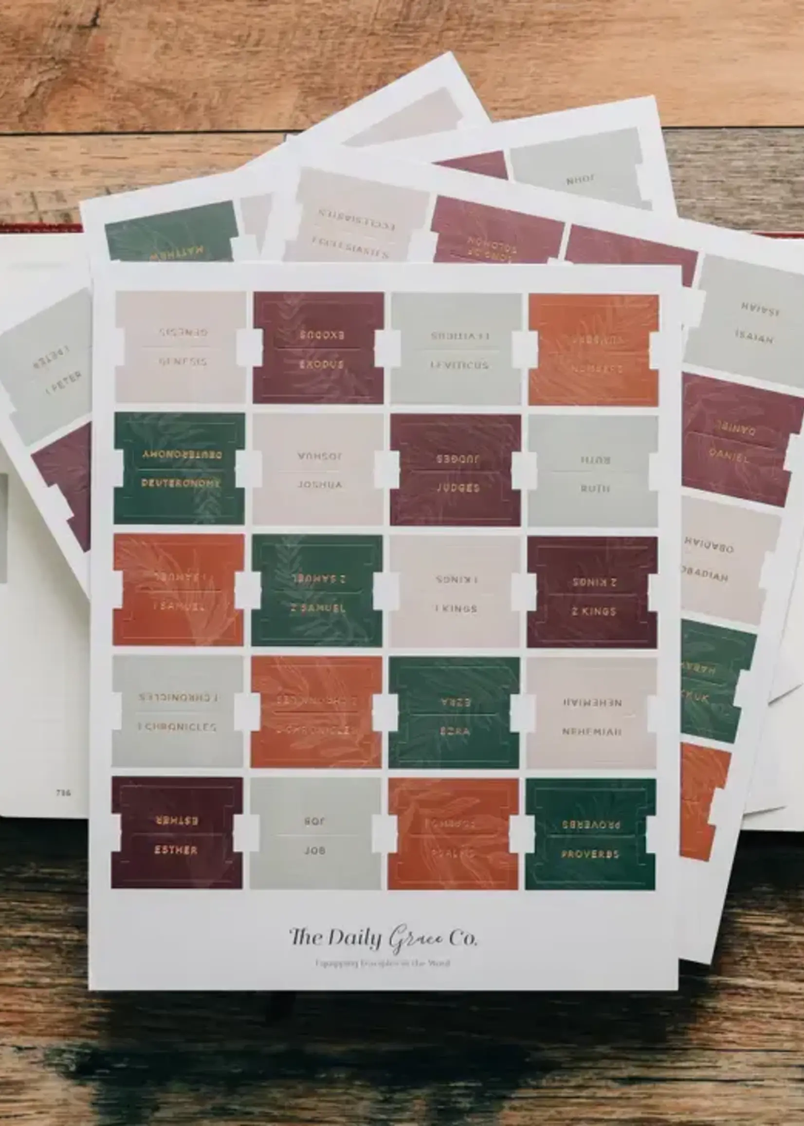 DAILY GRACE CO BIBLE TABS