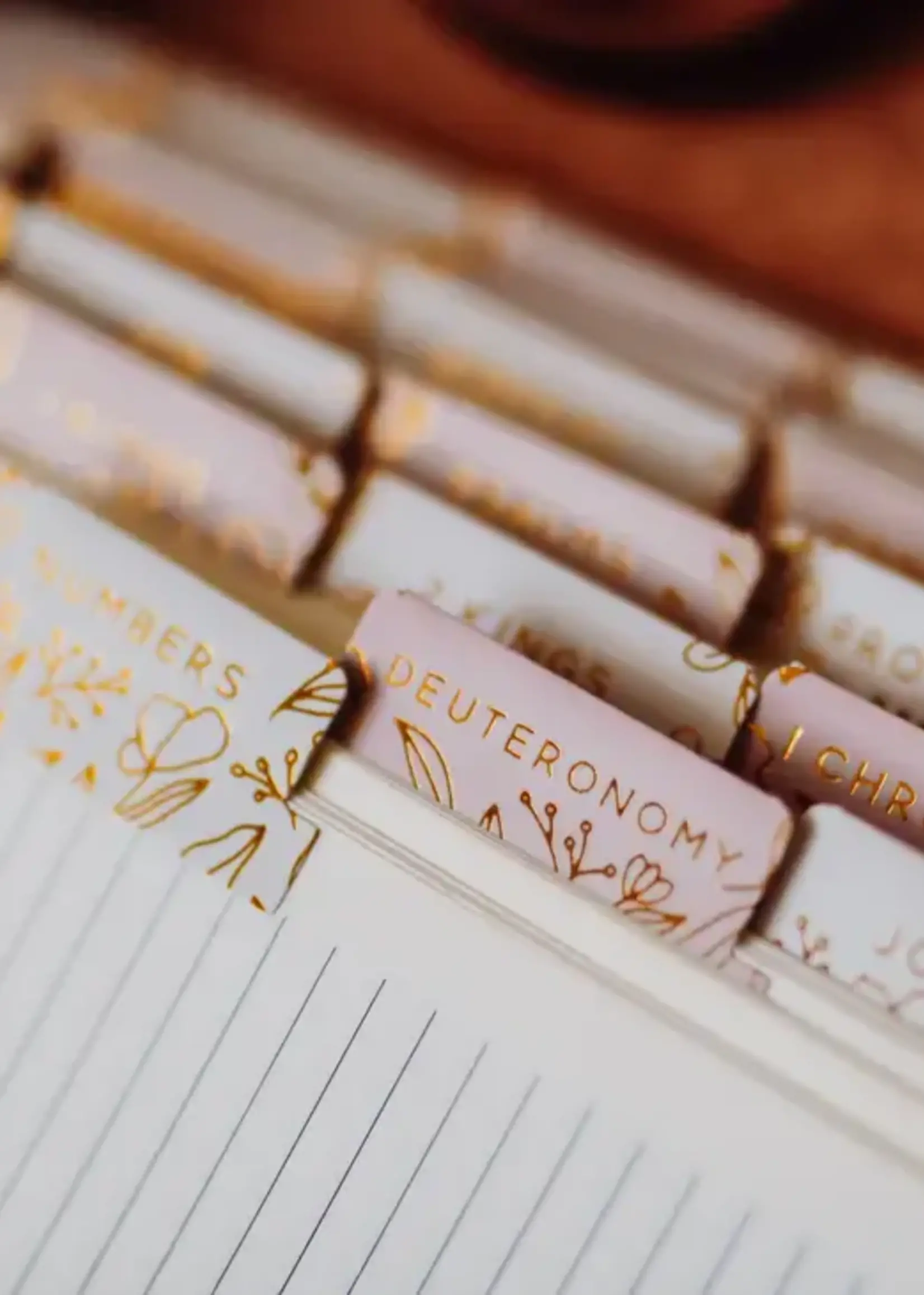 DAILY GRACE CO BIBLE TABS