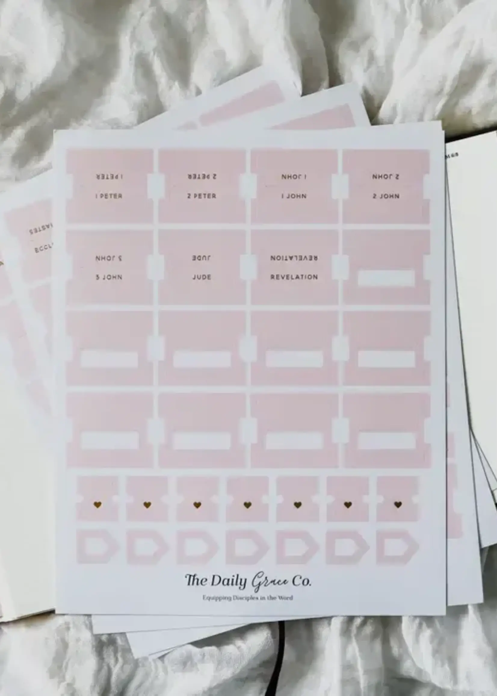 DAILY GRACE CO BIBLE TABS