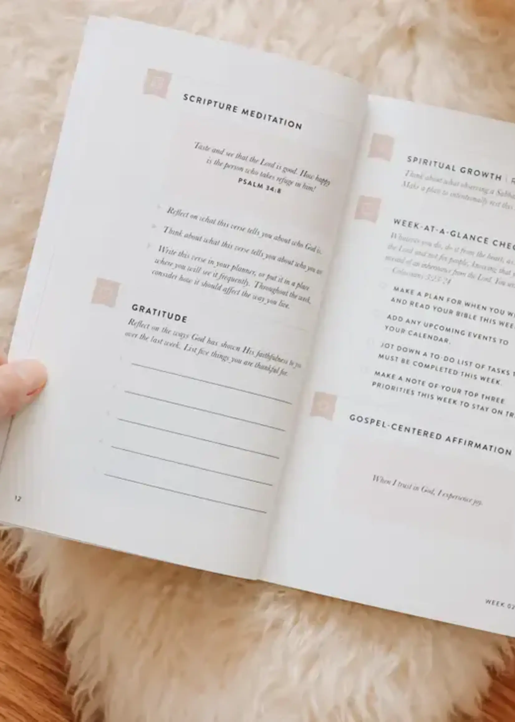 DAILY GRACE CO FIX YOUR FOCUS 52 WEEK GUIDE