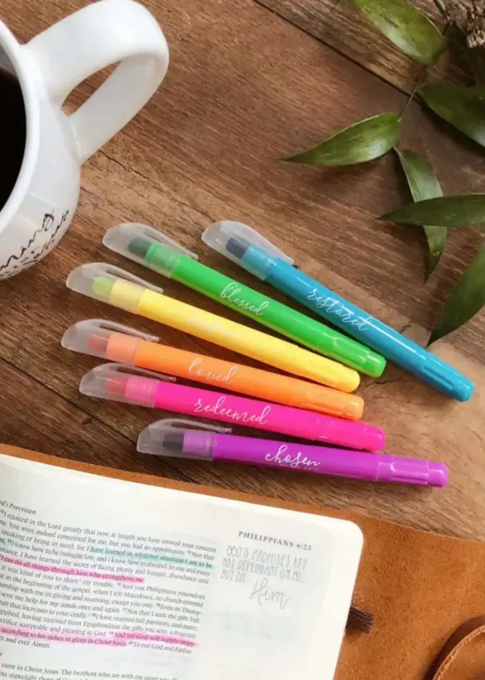 DAILY GRACE CO BIBLE HIGHLIGHTERS