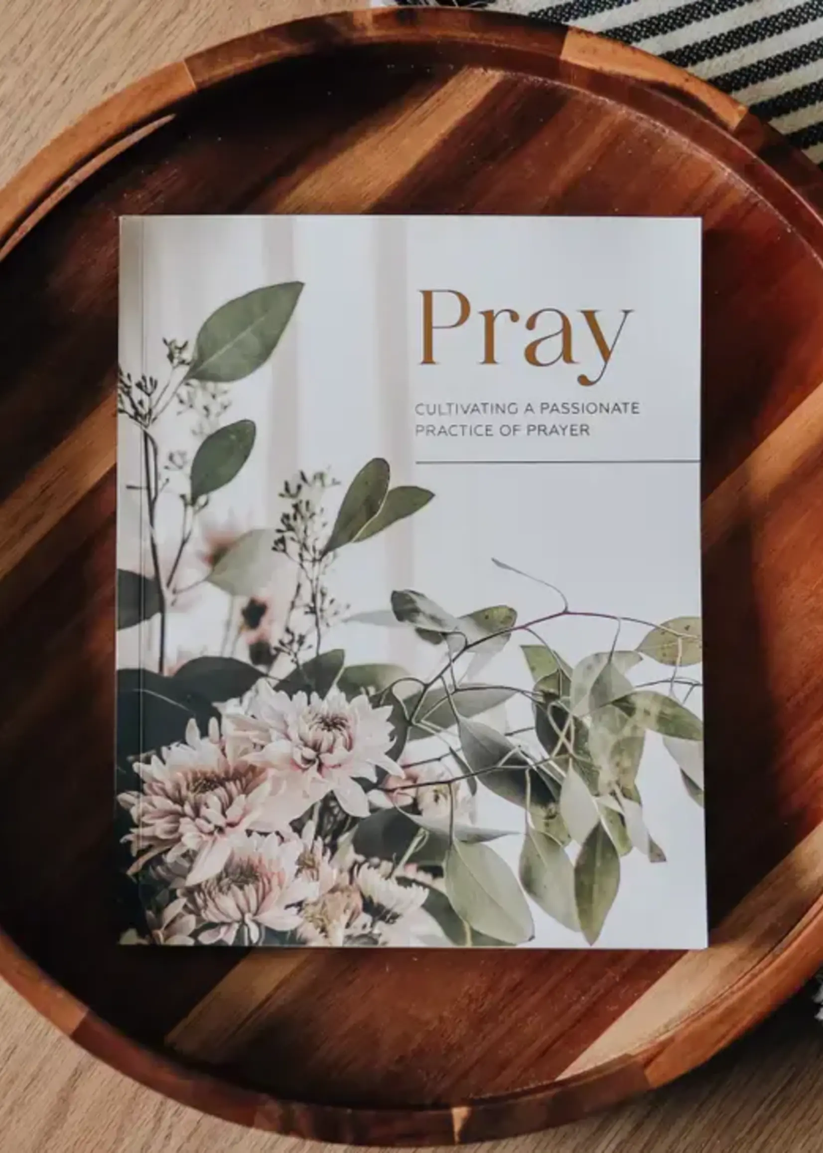 DAILY GRACE CO PRAY CULTIVATING A PASSIONATE PRACTICE OF PRAYER