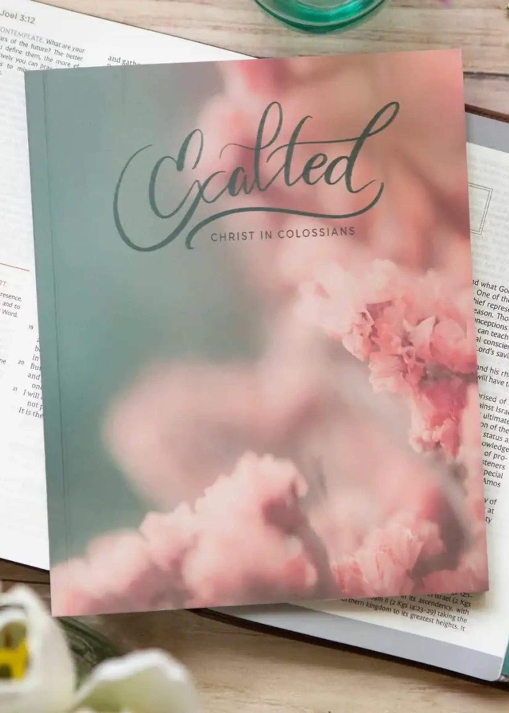 CHOSEN & CHERISHED EXALTED COLLOSIANS BIBLE STUDY