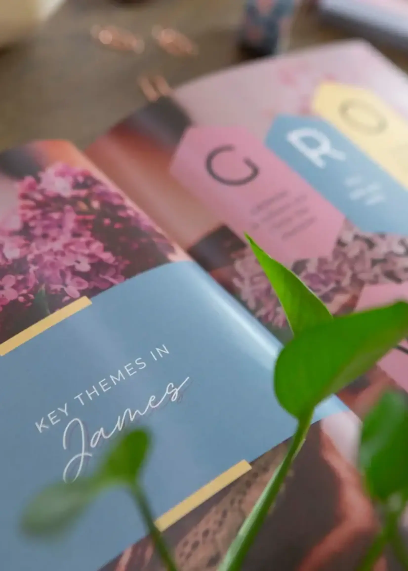 CHOSEN & CHERISHED UNWAVERING JAMES BIBLE STUDY