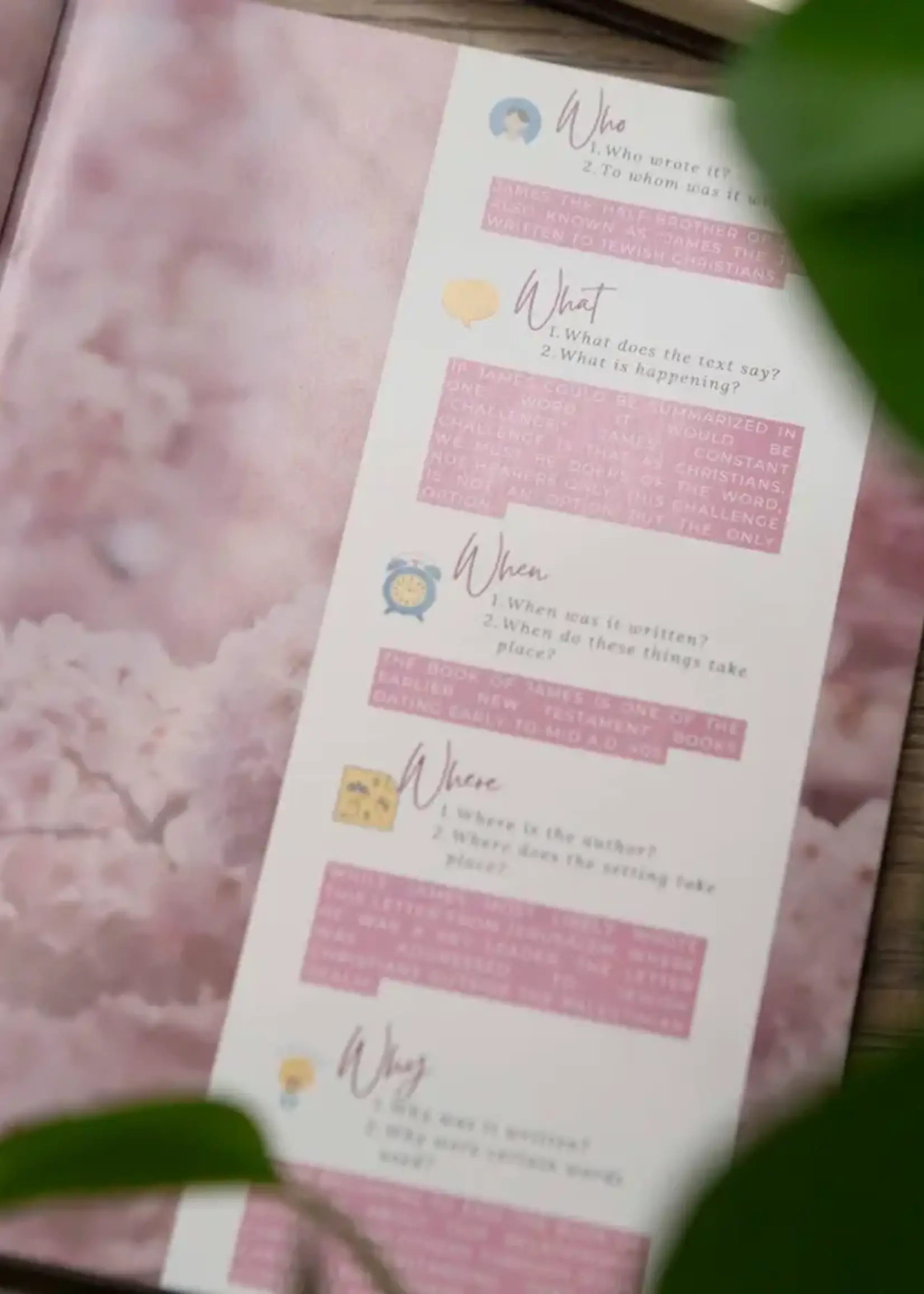 CHOSEN & CHERISHED UNWAVERING JAMES BIBLE STUDY