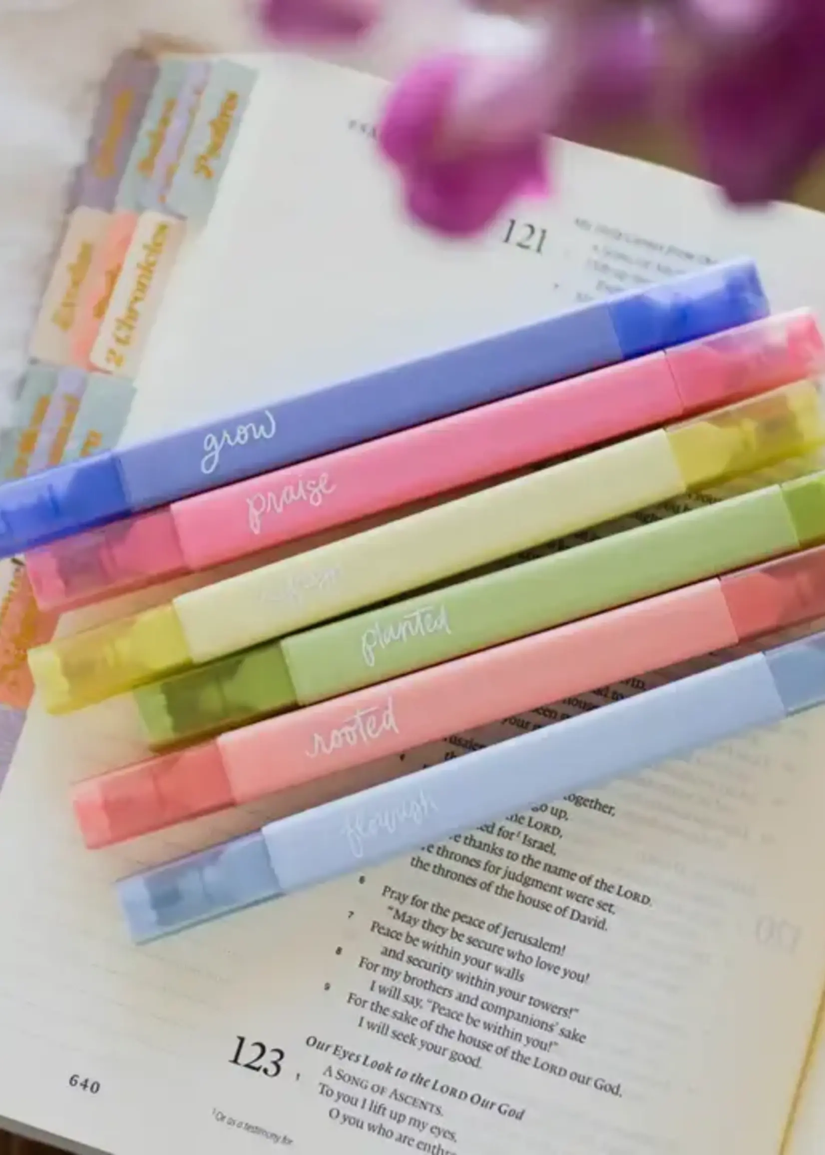 DAILY GRACE CO BIBLE HIGHLIGHTERS