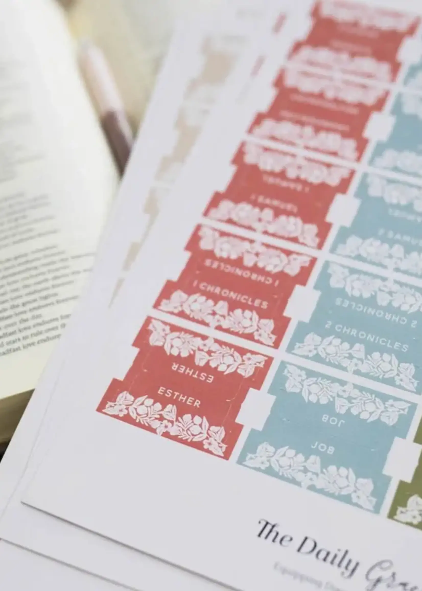 DAILY GRACE CO BIBLE TABS