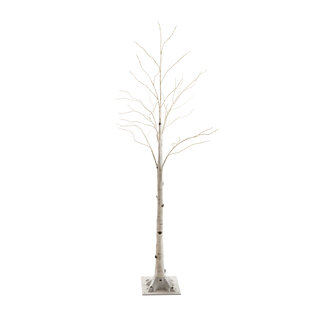 6' Indoor/Outdoor Birch Tree w/ Lights