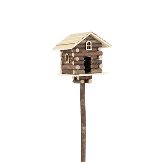Accent Cabin Pick
