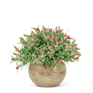 Pink Flowering Plant Pot 5.5"