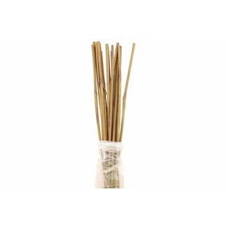 3' Natural Bamboo 20pk