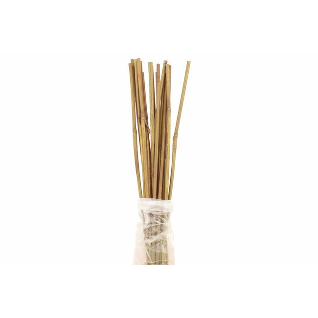 3' Natural Bamboo 20pk