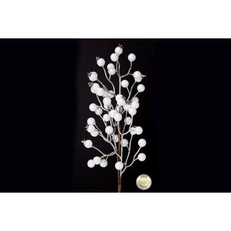 20" Berry Pic White