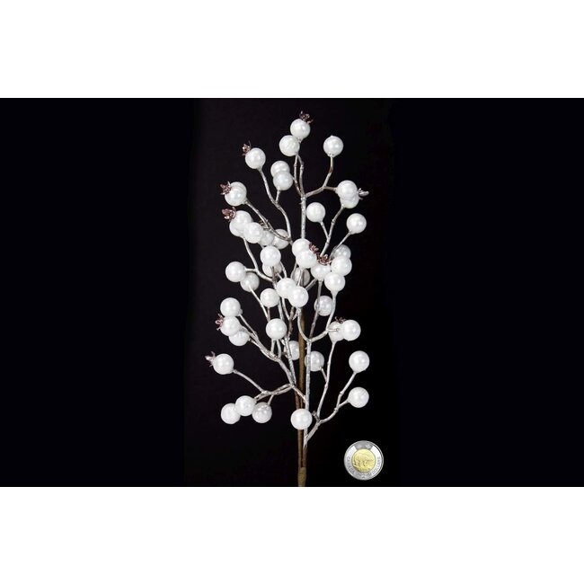 20" Berry Pic White