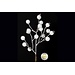 12" White Berry Pic
