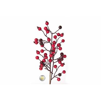 20" Red Berry Pic