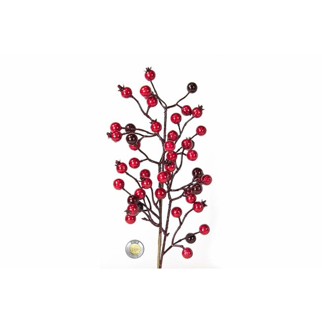 20" Red Berry Pic