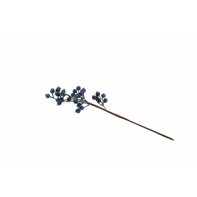 20" Blueberry Pick